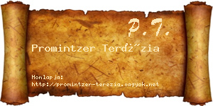 Promintzer Terézia névjegykártya
